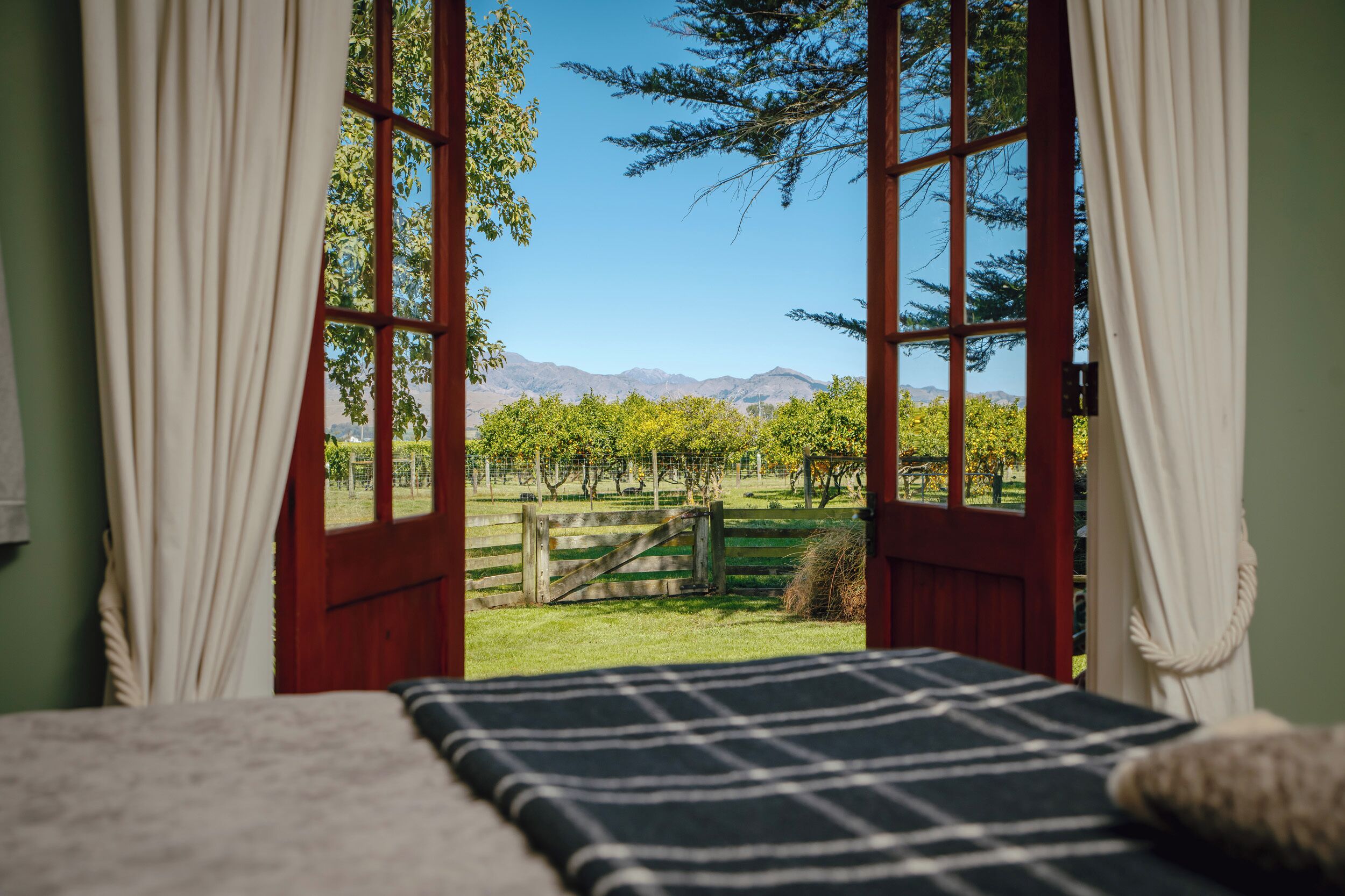 Premium Studio, Vineyard View | Soundproofing, iron/ironing board, free WiFi
