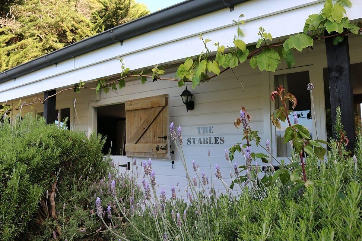 Premium Studio, Vineyard View | 1 bedroom, iron/ironing board, free WiFi