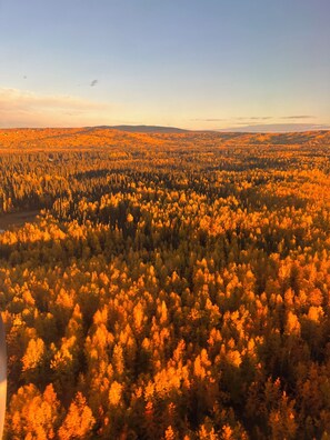A forested landscape with a clear sky.
