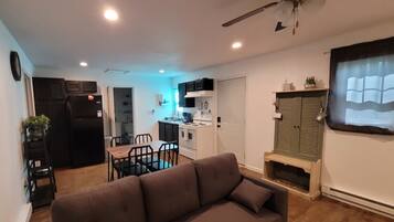 Smart TV, fireplace, books