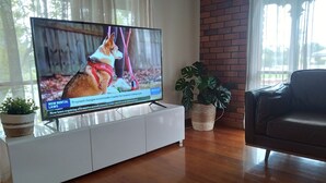 En tv-apparat står på ett vitt stativ och visar en nyhetskanal där en hund syns.