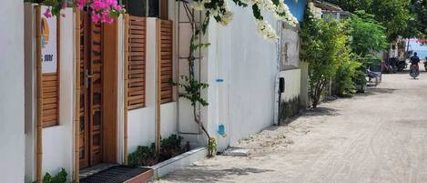 A narrow street lined with buildings, some with wooden shutters and a mix of vegetation including flowering plants.