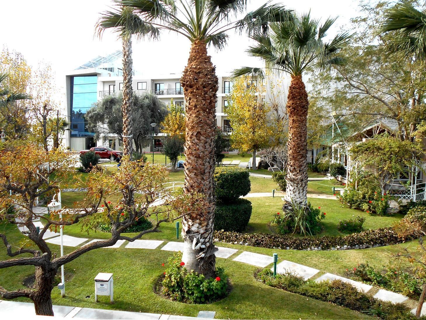 A well-maintained garden with palm trees, a lawn, and a pathway leading to a building with a modern design.