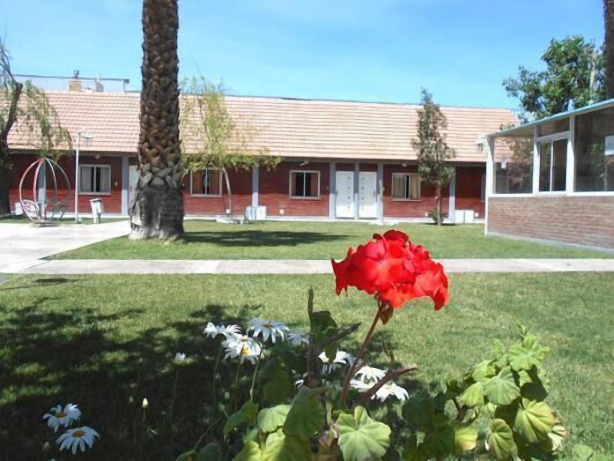 Un bâtiment à la façade en briques rouges, doté d’un patio couvert et d’une pelouse bien entretenue, avec une seule rose rouge en premier plan.