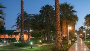 A well-lit pathway with palm trees and a building in the background.
