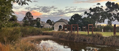 Vingård