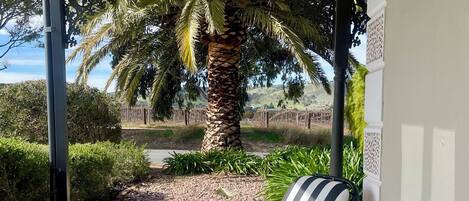 Studio suite, uitzicht op tuin | Terras