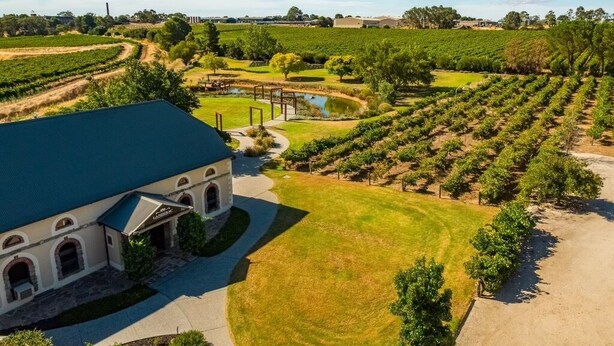 A vineyard with rows of grapevines, a building with arched windows, and a paved pathway. - Pirathon Country Estate (Tanunda)