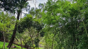 Jardín