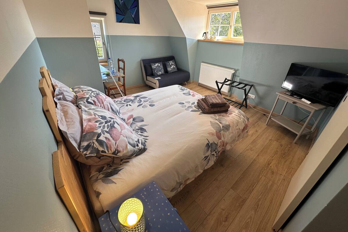 Une chambre à coucher avec un lit, un bureau, une chaise, une télévision et une fenêtre.