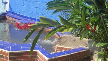 Surrounded by lush greenery and vibrant flowers, this serene water feature offers a peaceful retreat.