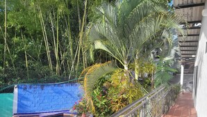 Ein Swimmingpool mit blau gefliestem Rand, umgeben von üppiger Bepflanzung, darunter Palmen und Bambus.