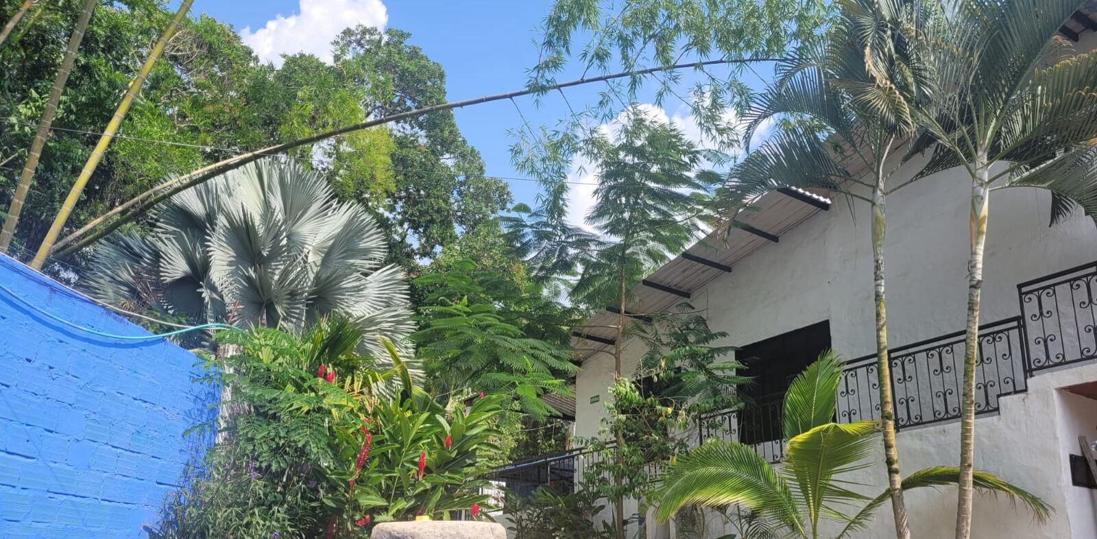 A courtyard with lush tropical plants, a blue tarp, and a white building with a balcony.