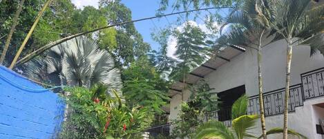 A courtyard with lush tropical plants, a blue tarp, and a white building with a balcony.