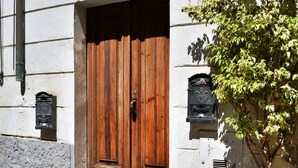 A building entrance with a wooden double door, a potted plant, and two black mailboxes.