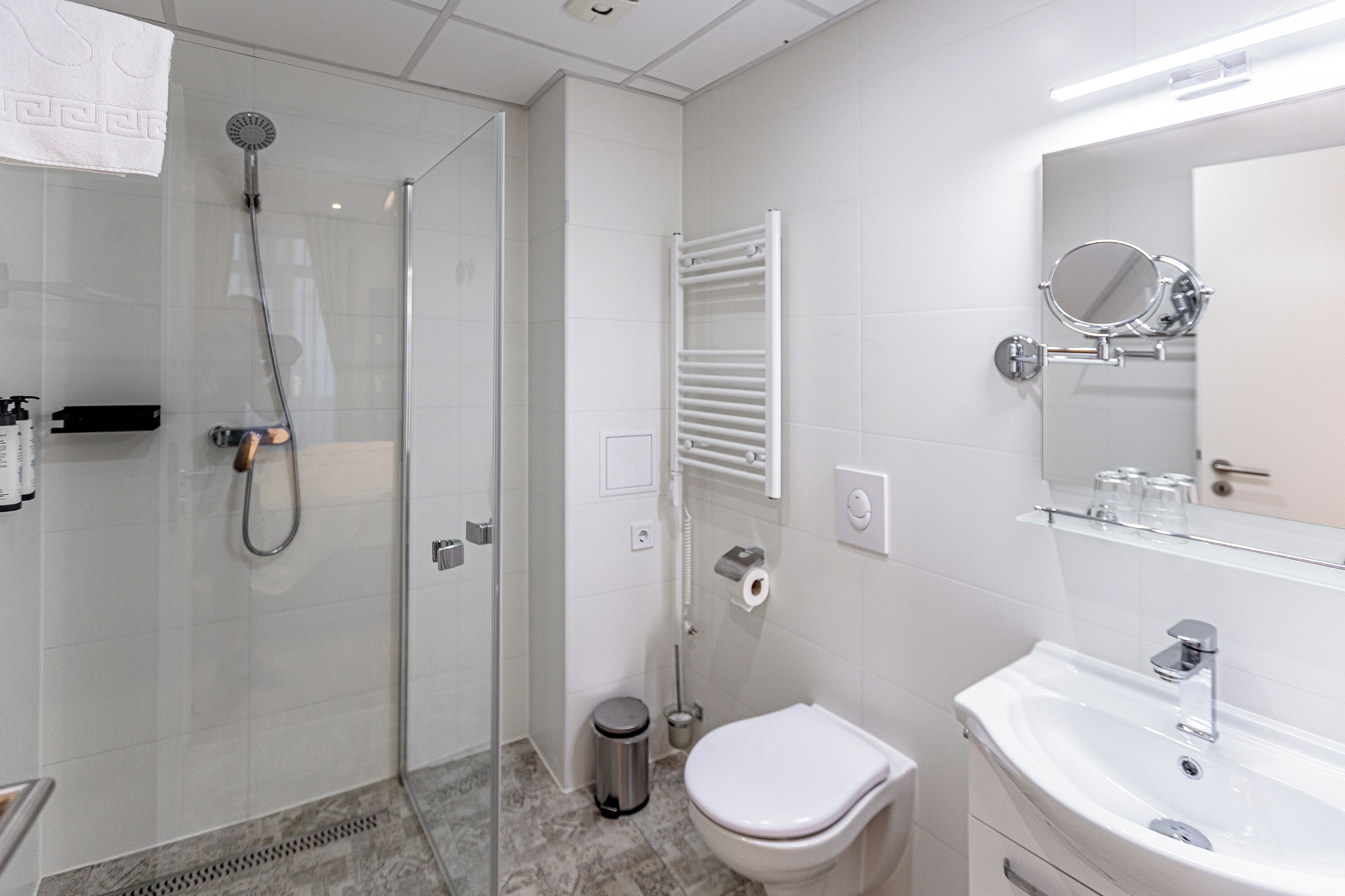 A modern bathroom with a glass-enclosed shower, a white toilet, a sink with a mirror, and a towel rack.