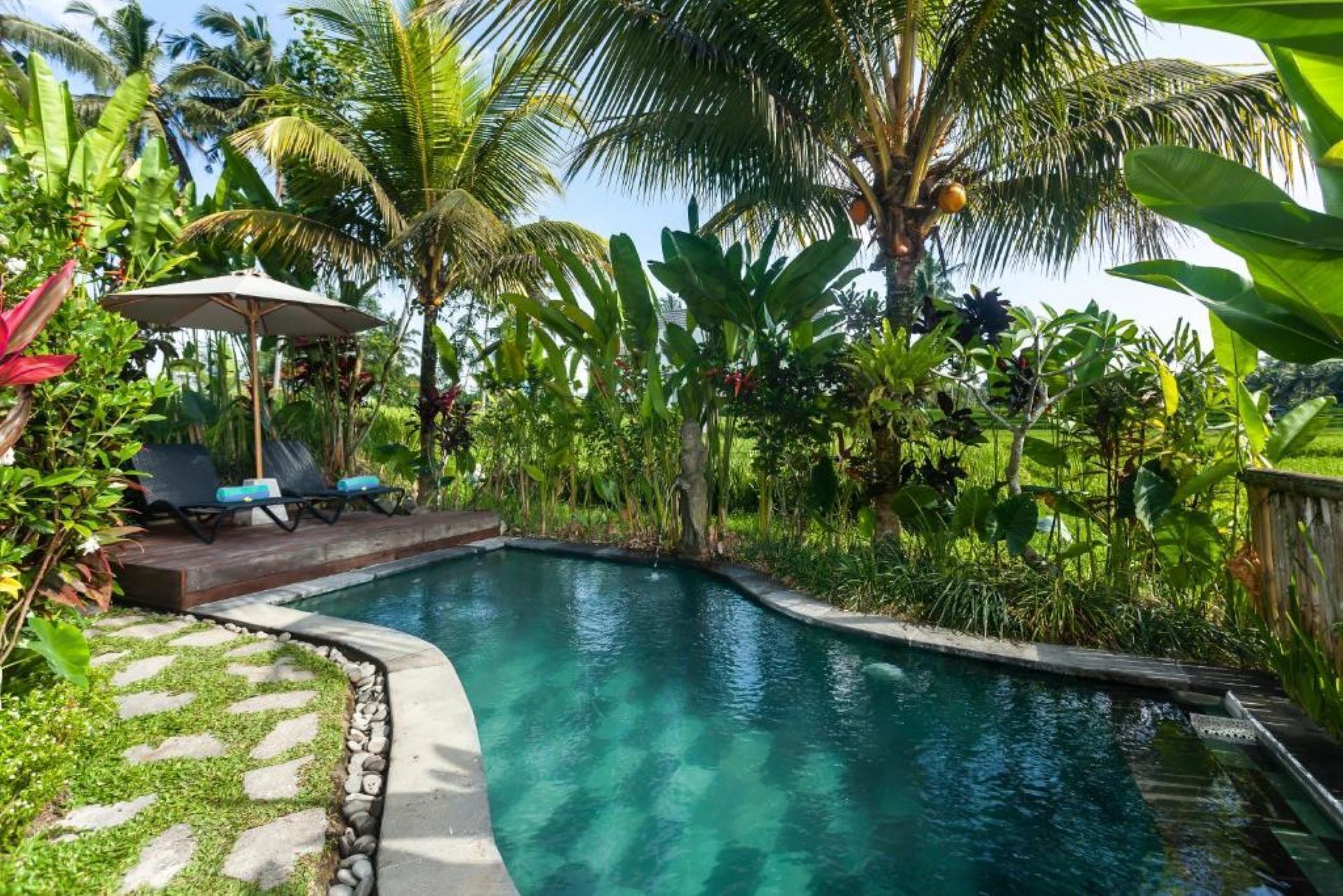Une piscine entourée d’une végétation luxuriante et de palmiers, avec des chaises longues et un espace ombragé.