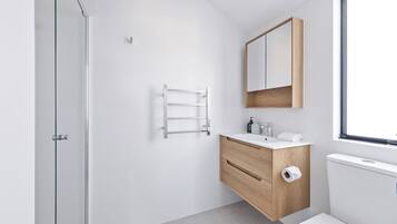 Shower, hair dryer, towels