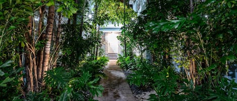 A pathway flanked by lush greenery leading to a building with a white facade and a stone entrance.