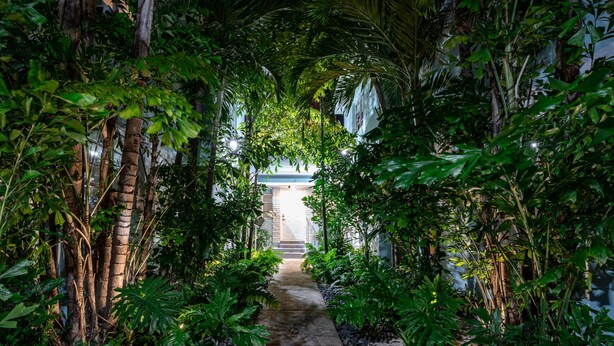 A pathway flanked by lush greenery leading to a building with a white facade and a stone entrance. - TWO Bedroom Apartment (Miami Beach)