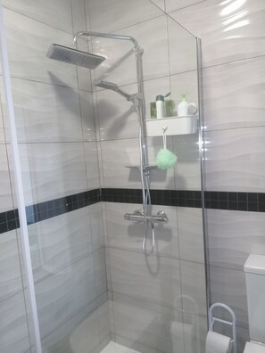 Douche, baignoire à jets, sèche-cheveux, serviettes fournies
