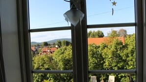 A view through a window with a metal frame, a hanging light fixture, and a glimpse of a deck with chairs and potted plants. - Cozy and spacious traditional Swedish Dala cottage (Dalarnas län)