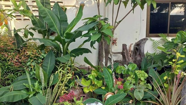 A garden with various plants and decorative statues. - OYO 75524 SK Resort (Nuea Khlong)