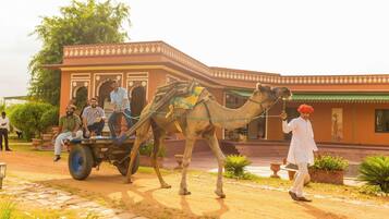 A camel pulling a cart with passengers, a person leading the camel, and a building with traditional architecture in the background.
