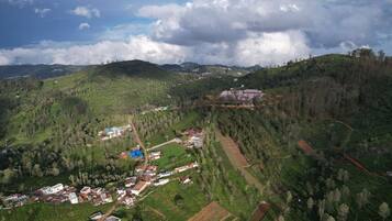 Ngoại thất