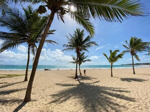 Sun-loungers, beach towels