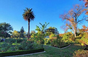 A well-maintained garden with a variety of plants and a prominent palm tree. - Chic Boho Bungalow in Land Park! (Sacramento)