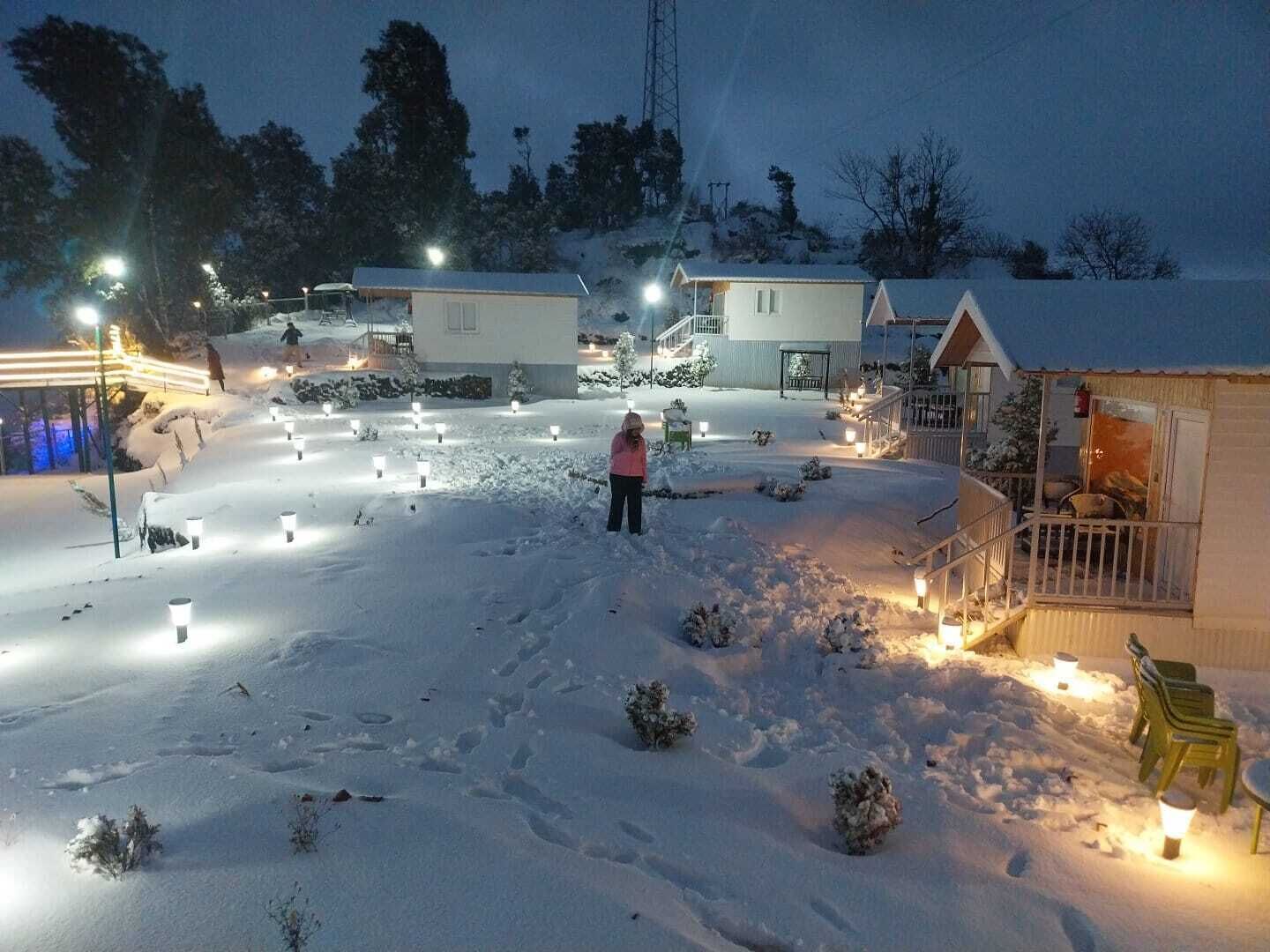 A snow-covered outdoor area with pathways and small trees, illuminated by ground lights.