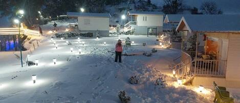 A snow-covered outdoor area with pathways and small trees, illuminated by ground lights.