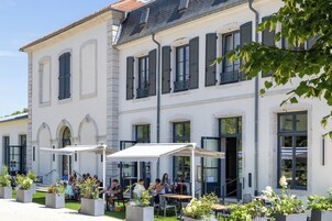 Un espace café en plein air, avec des tables et des chaises, entouré de plantes en pot, situé devant un bâtiment blanc doté de nombreuses fenêtres et de volets.