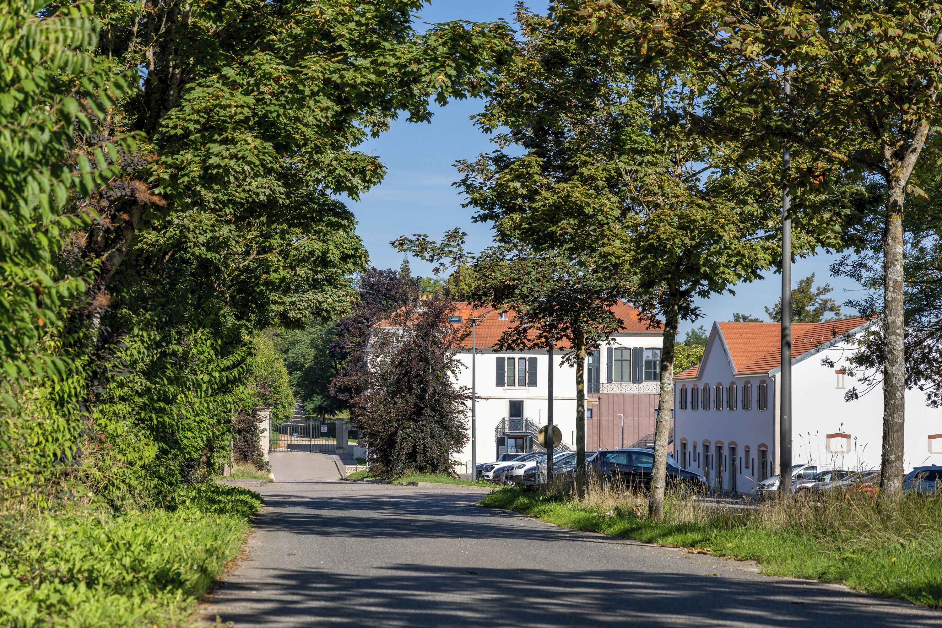 Une rue bordée d’arbres, avec des voitures garées et des bâtiments aux toits rouges.