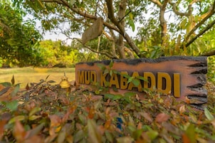 Tienda | Vistas al jardín