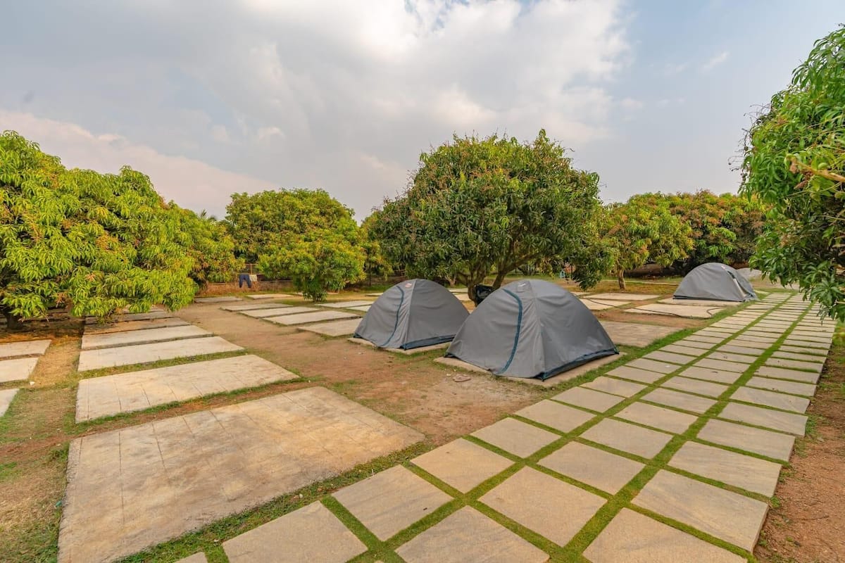 Tent | Exterior