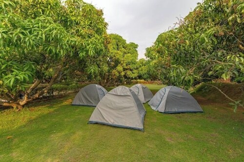 Q Mango Resort 