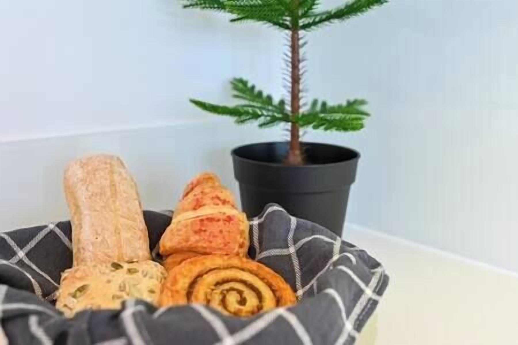 A bed with a black and white checkered bedspread, a small potted plant, and a variety of bread rolls.