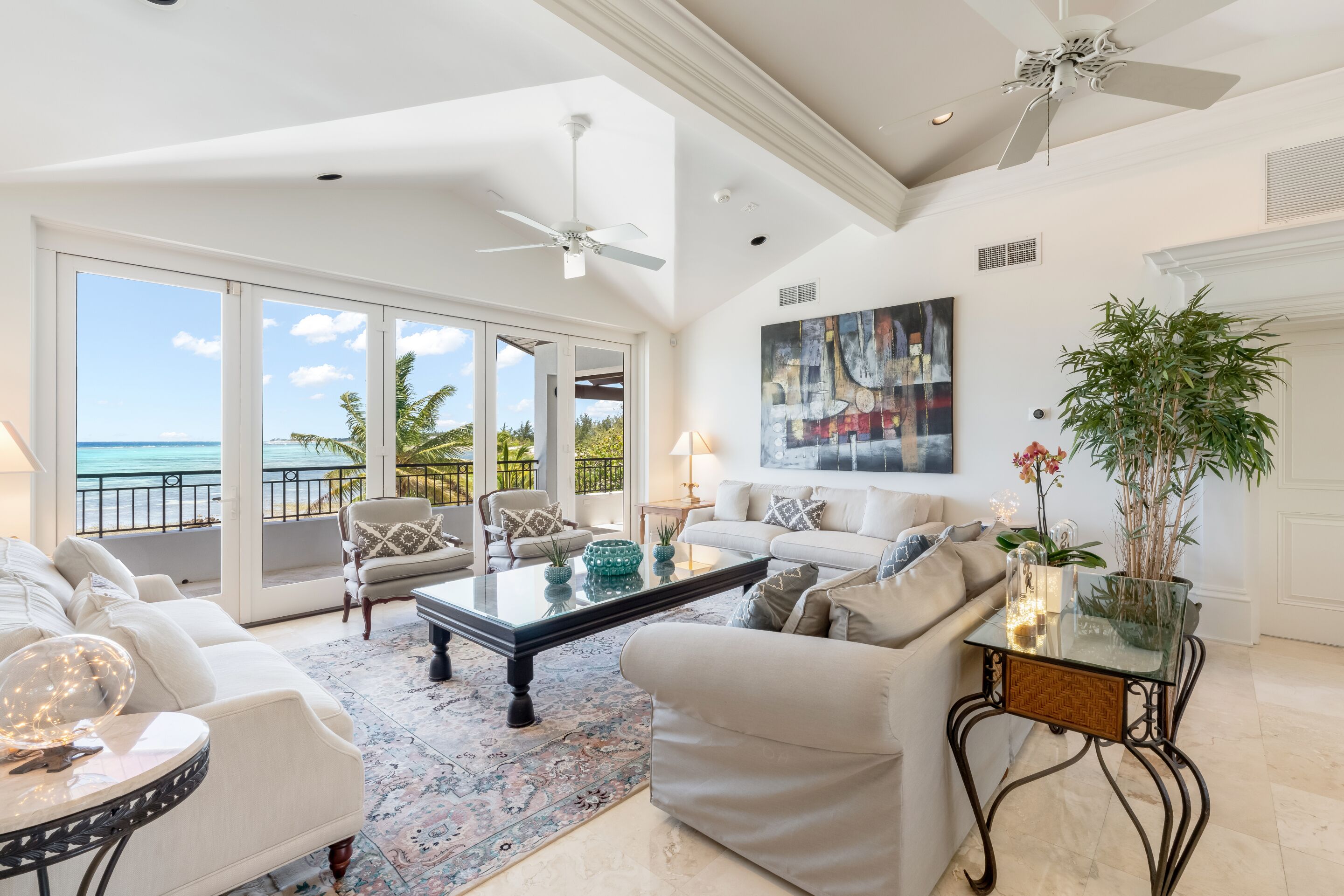 TV, DVD player, books, video library