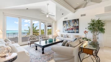 TV, DVD player, books, video library