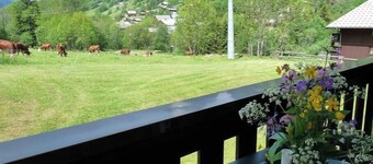 Appartement Calme et Lumineux