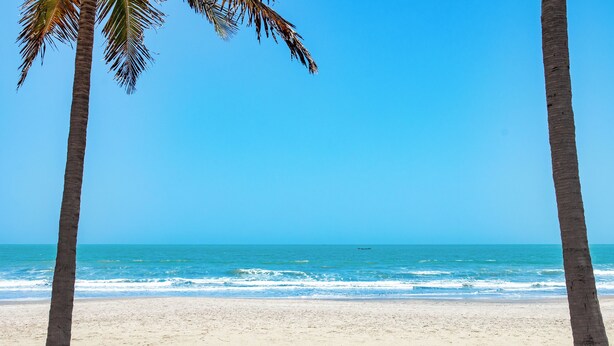 Een strand met witte ligbedden en palmbomen.