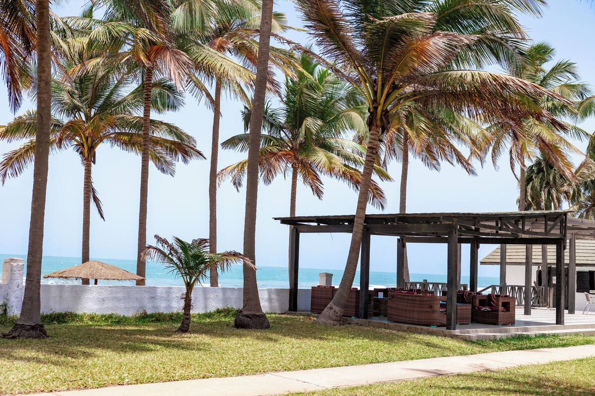 A beachside area with palm trees, a wooden pergola, and a view of the ocean.