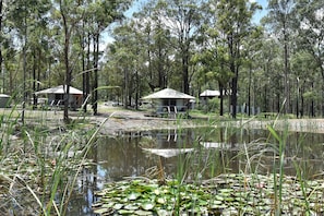 Een camping met meerdere hutten, omgeven door bomen en een vijver met waterlelies.