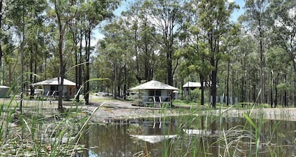 Pokolbin Glamping Eco-friendly glamping Tents