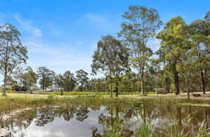 A natural landscape with a pond, trees, and a clear sky.