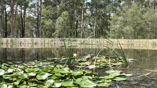 Pokolbin Glamping. Sleeps 6 across 3 eco-friendly glamping Tents