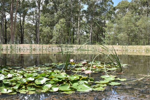 Shiraz - Pokolbin Eco-friendly Glamping