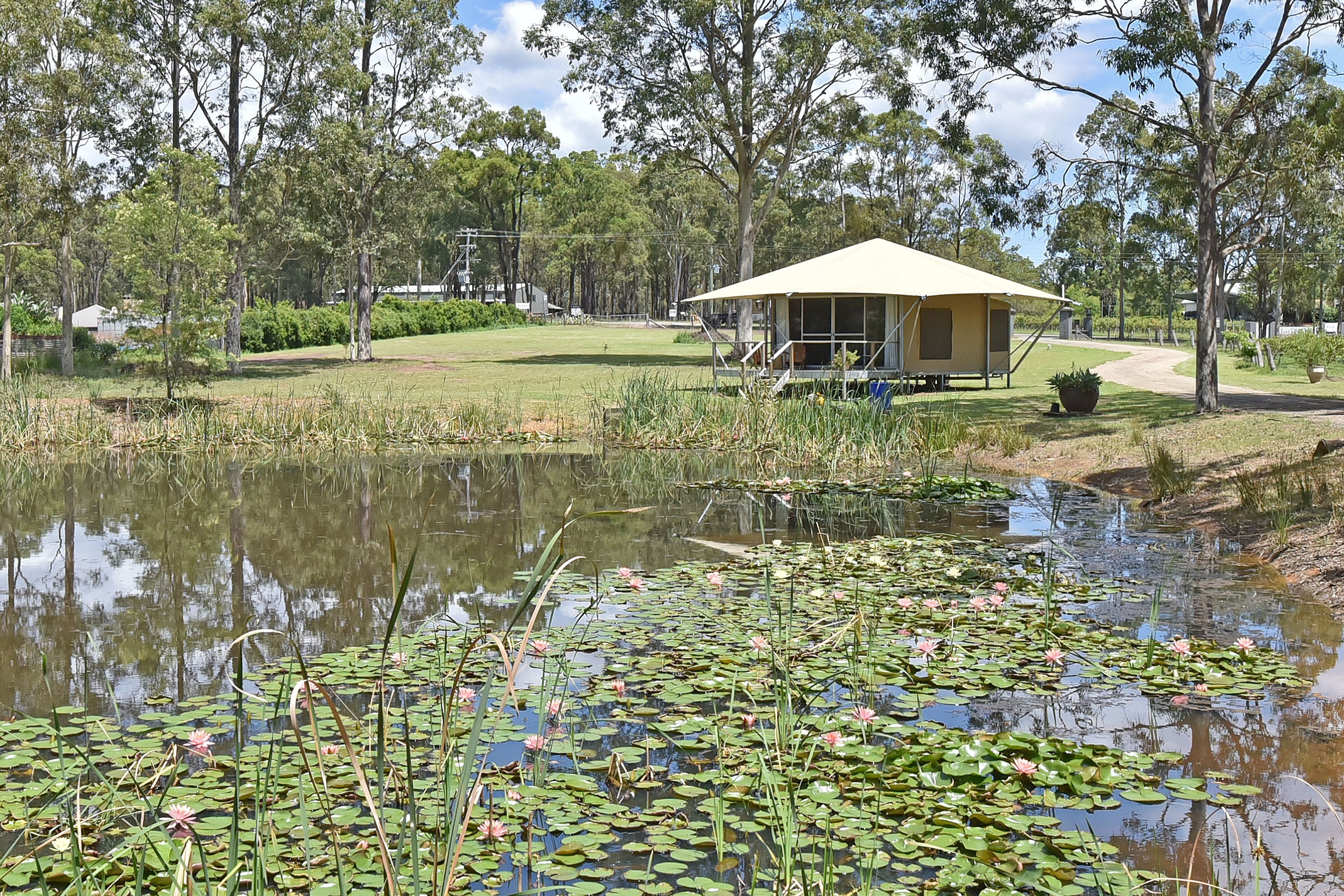 Una propiedad junto al lago con un pequeño pabellón, rodeada de árboles y un espacio cubierto de césped.